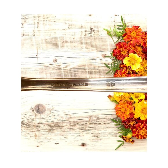 Vintage International Silver ROMANCE Large Silverplated Serving Spoon Floral Pat - Picture 4 of 4